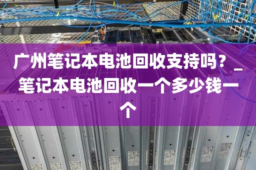 广州笔记本电池回收支持吗？_笔记本电池回收一个多少钱一个